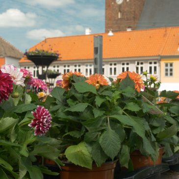 Plantemarked på Axeltorv