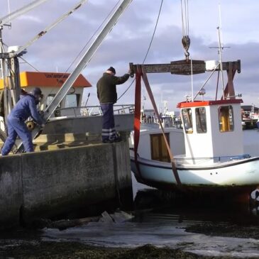 Langø havn januar 2021