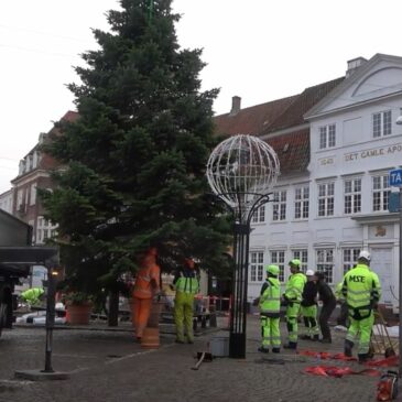 Byens juletræ sat op
