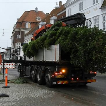 Nakskovs juletræ på Axeltorvet